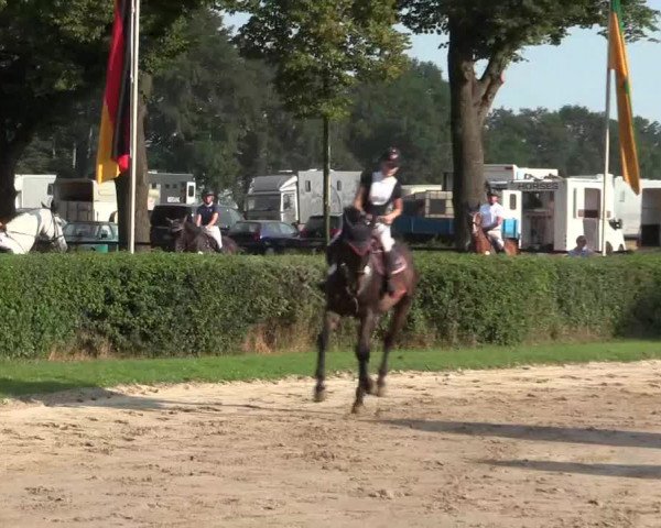 Reitturnier Recklinghausen 2016