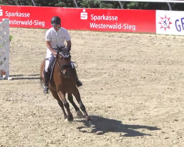 Summermeeting der Springreiter Hachenburg 2016