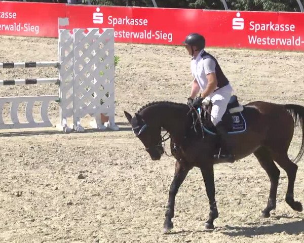 Summermeeting der Springreiter Hachenburg 2016