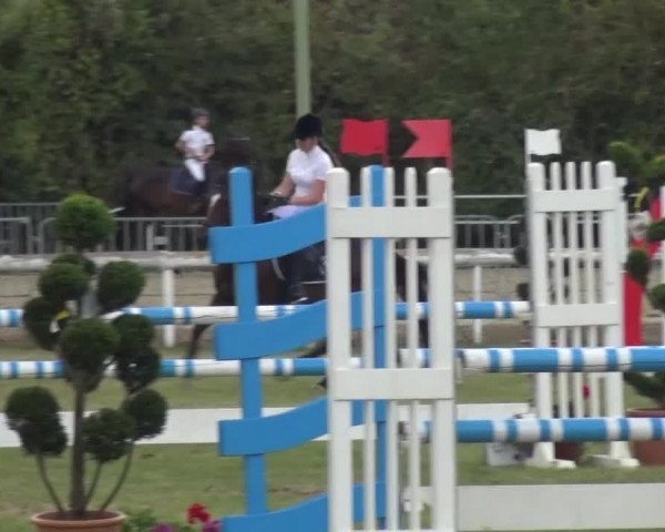 Reitturnier Düren - An der Kuhbrücke 2016