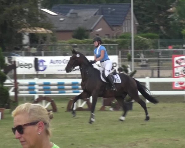 Reitturnier Düren - An der Kuhbrücke 2016