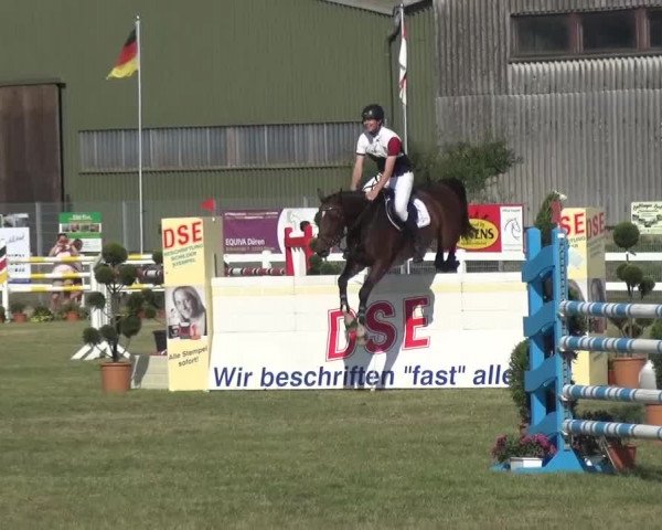 Reitturnier Düren - An der Kuhbrücke 2016