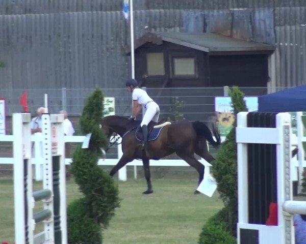 Reitturnier Düren - An der Kuhbrücke 2016