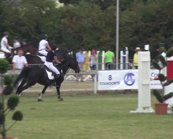 Reitturnier Düren - An der Kuhbrücke 2016