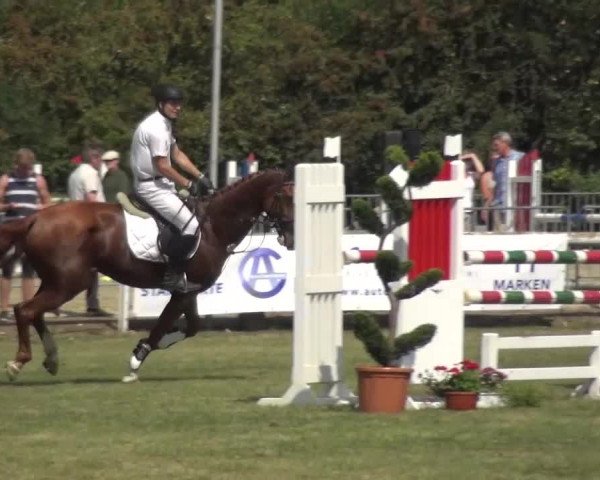 Reitturnier Düren - An der Kuhbrücke 2016
