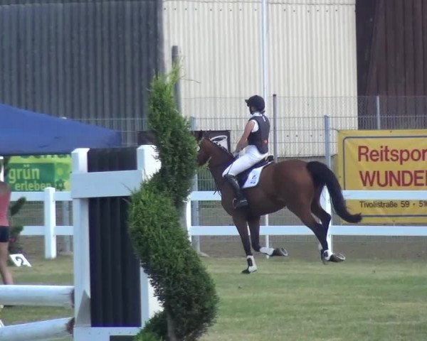 Reitturnier Düren - An der Kuhbrücke 2016