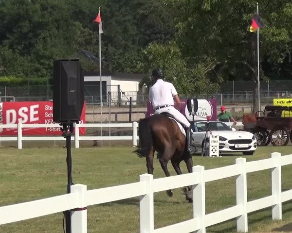 Reitturnier Düren - An der Kuhbrücke 2016