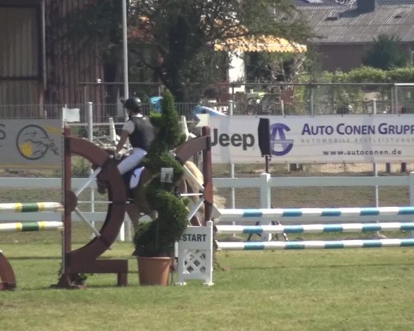 Reitturnier Düren - An der Kuhbrücke 2016