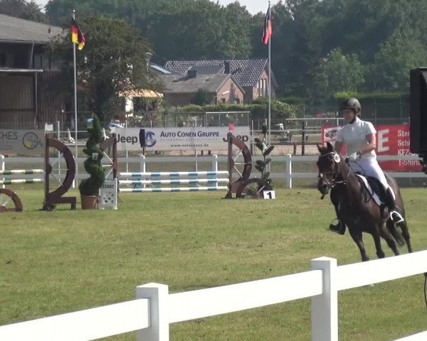 Reitturnier Düren - An der Kuhbrücke 2016