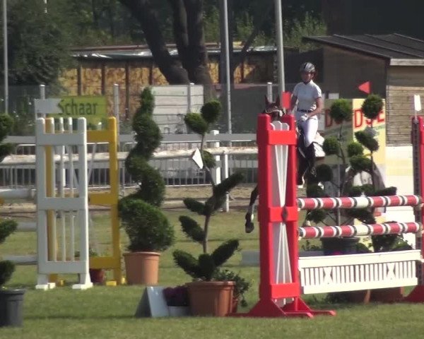 Reitturnier Düren - An der Kuhbrücke 2016