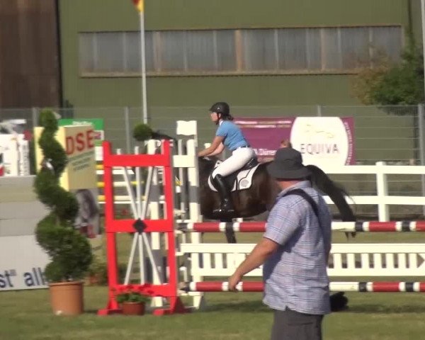 Reitturnier Düren - An der Kuhbrücke 2016