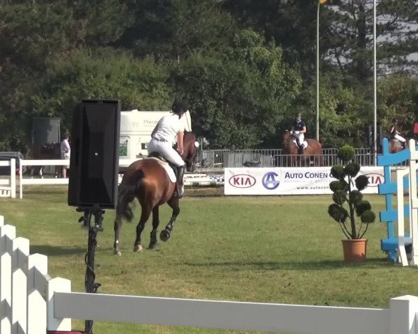 Reitturnier Düren - An der Kuhbrücke 2016