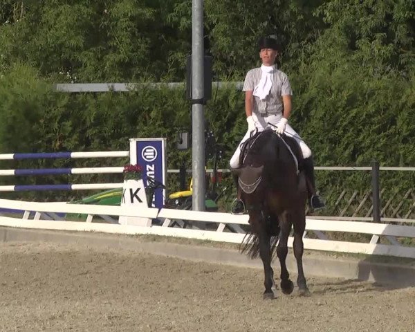 Reitturnier Kandern-Tannenkirch-Fohrenhof 2016