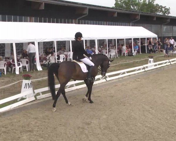 Reitturnier Kandern-Tannenkirch-Fohrenhof 2016