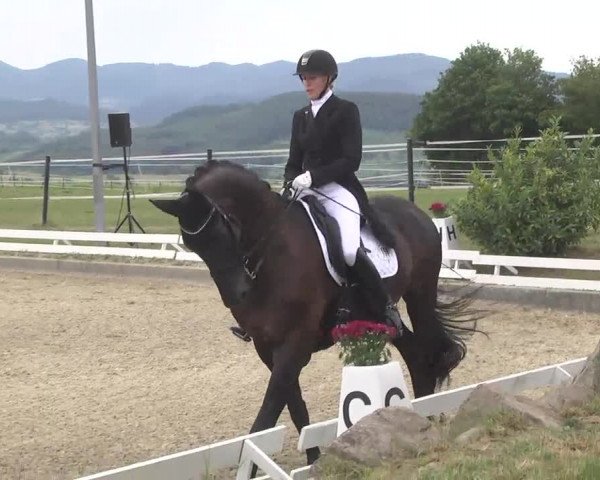 Reitturnier Kandern-Tannenkirch-Fohrenhof 2016