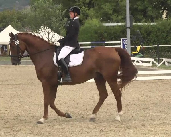 Reitturnier Kandern-Tannenkirch-Fohrenhof 2016