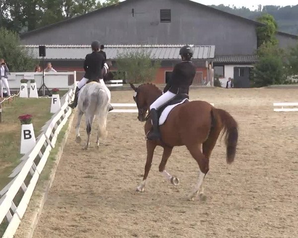 Reitturnier Kandern-Tannenkirch-Fohrenhof 2016