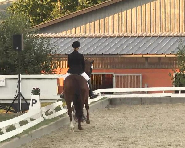 Reitturnier Kandern-Tannenkirch-Fohrenhof 2016