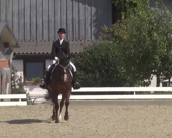 Reitturnier Kandern-Tannenkirch-Fohrenhof 2016