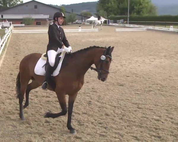 Reitturnier Kandern-Tannenkirch-Fohrenhof 2016