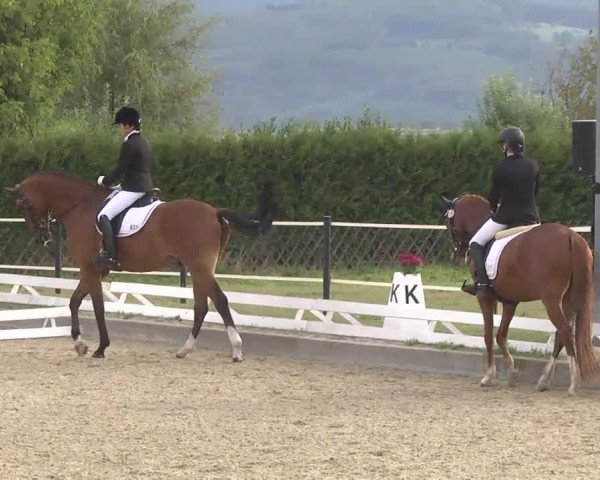 Reitturnier Kandern-Tannenkirch-Fohrenhof 2016