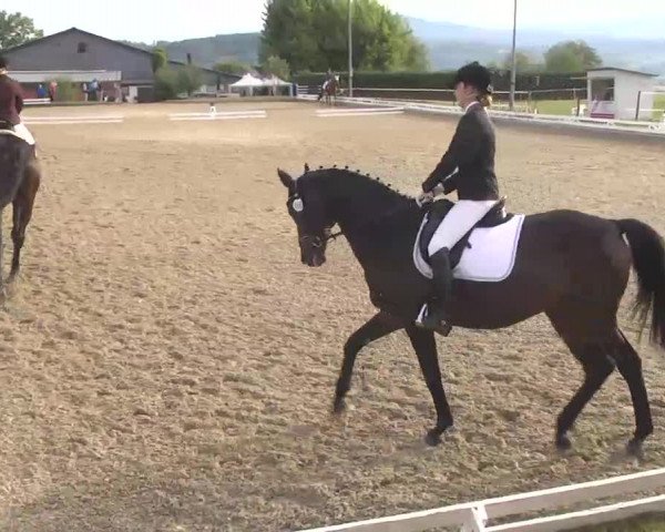 Reitturnier Kandern-Tannenkirch-Fohrenhof 2016