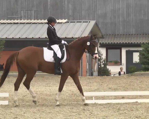 Reitturnier Kandern-Tannenkirch-Fohrenhof 2016