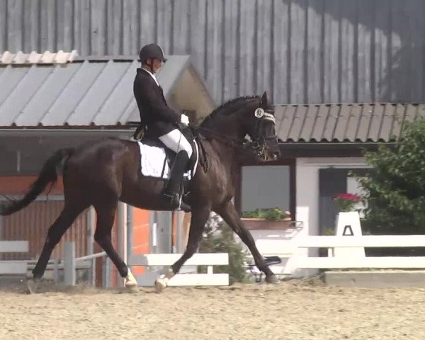 Reitturnier Kandern-Tannenkirch-Fohrenhof 2016
