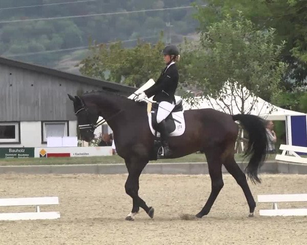 Reitturnier Kandern-Tannenkirch-Fohrenhof 2016