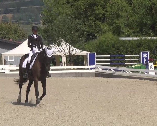 Reitturnier Kandern-Tannenkirch-Fohrenhof 2016