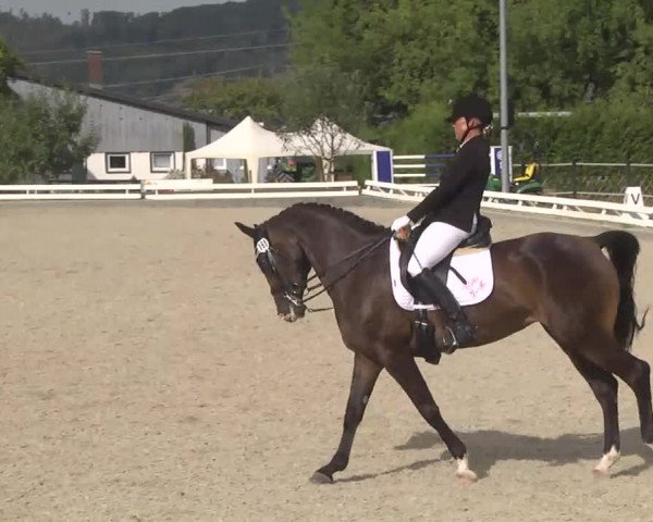 Reitturnier Kandern-Tannenkirch-Fohrenhof 2016
