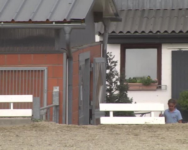 Reitturnier Kandern-Tannenkirch-Fohrenhof 2016