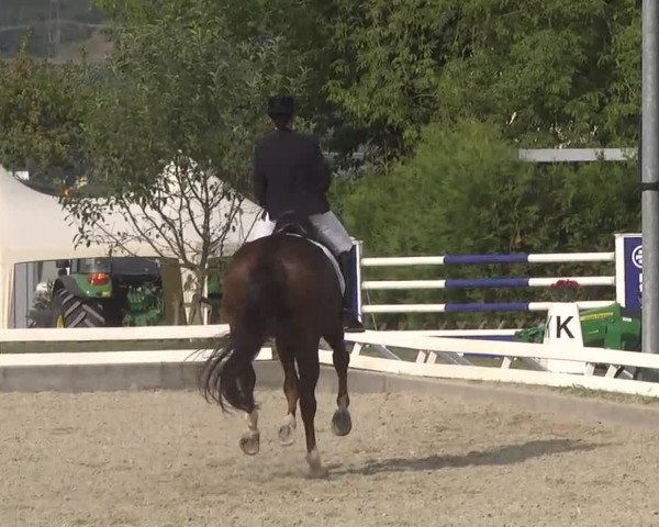 Reitturnier Kandern-Tannenkirch-Fohrenhof 2016