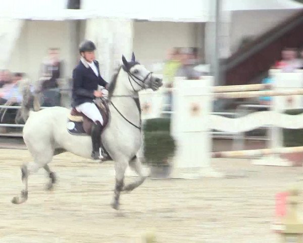 Voßwinkeler Reitertage 2016
