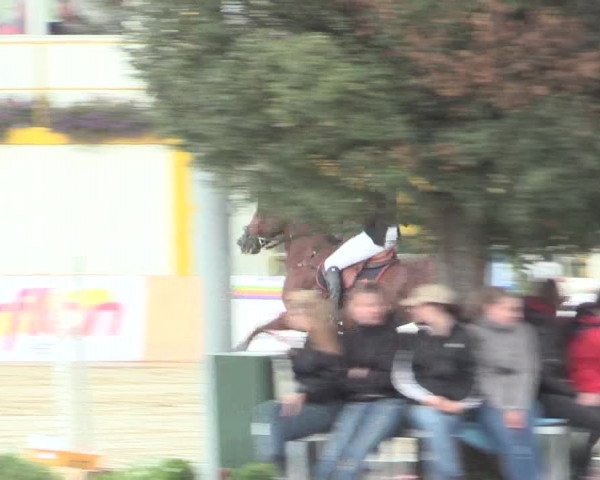 Voßwinkeler Reitertage 2016