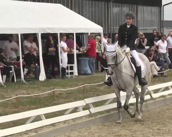Reitturnier Kandern-Tannenkirch-Fohrenhof 2016