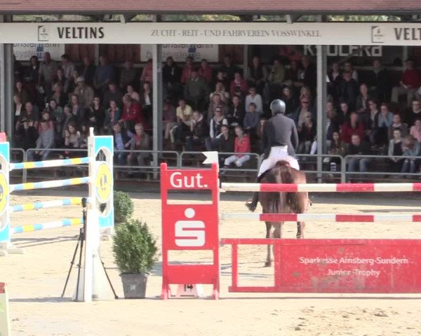 Voßwinkeler Reitertage 2016
