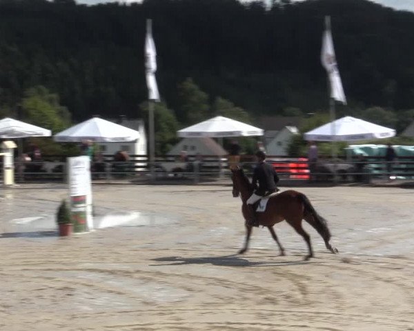 Voßwinkeler Reitertage 2016