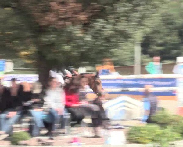 Voßwinkeler Reitertage 2016