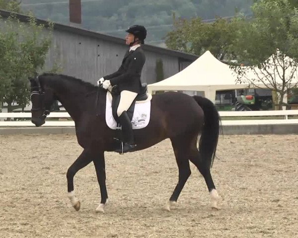 Reitturnier Kandern-Tannenkirch-Fohrenhof 2016