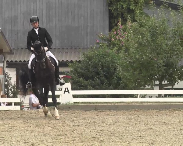 Reitturnier Kandern-Tannenkirch-Fohrenhof 2016