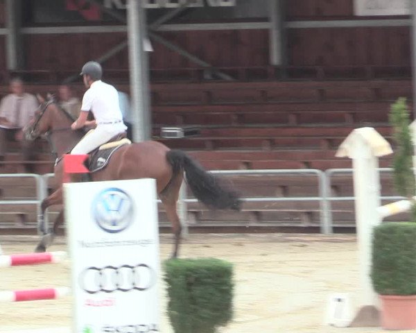 Voßwinkeler Reitertage 2016