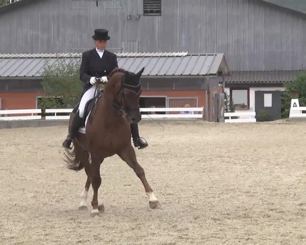 Reitturnier Kandern-Tannenkirch-Fohrenhof 2016