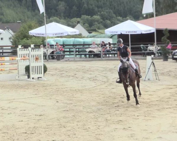 Voßwinkeler Reitertage 2016