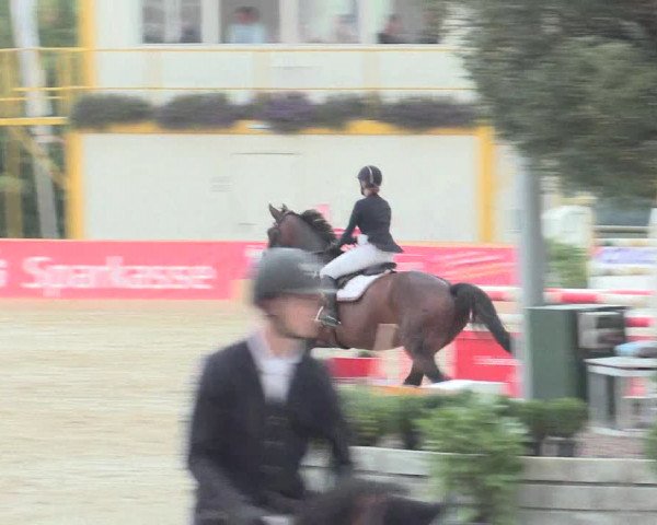 Voßwinkeler Reitertage 2016