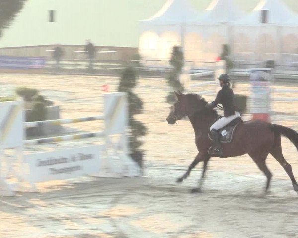 Voßwinkeler Reitertage 2016