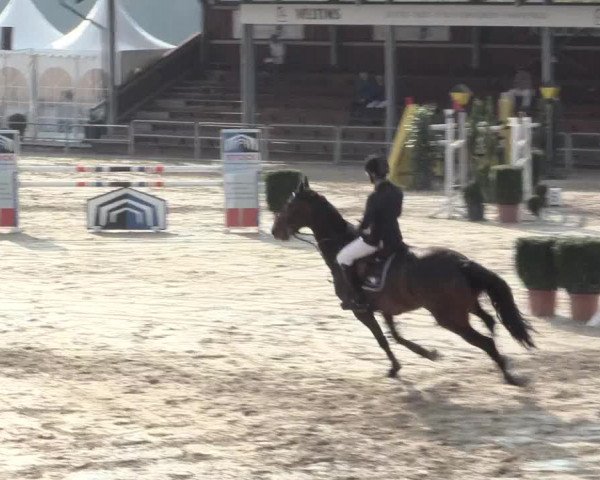 Voßwinkeler Reitertage 2016