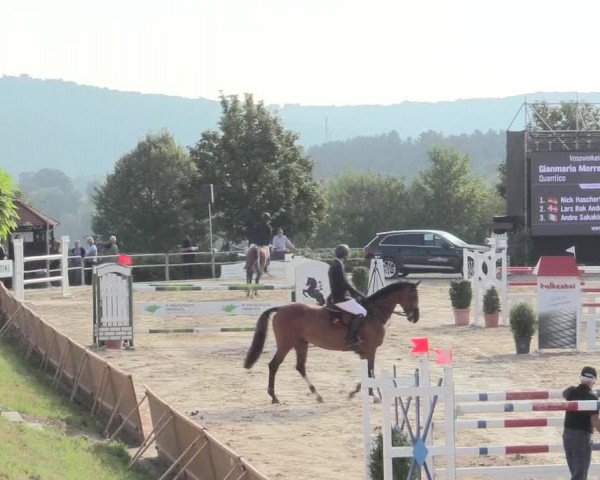 Voßwinkeler Reitertage 2016