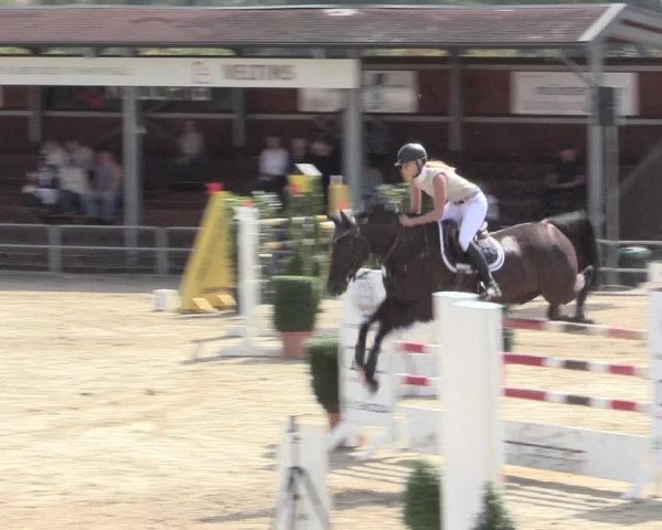 Voßwinkeler Reitertage 2016