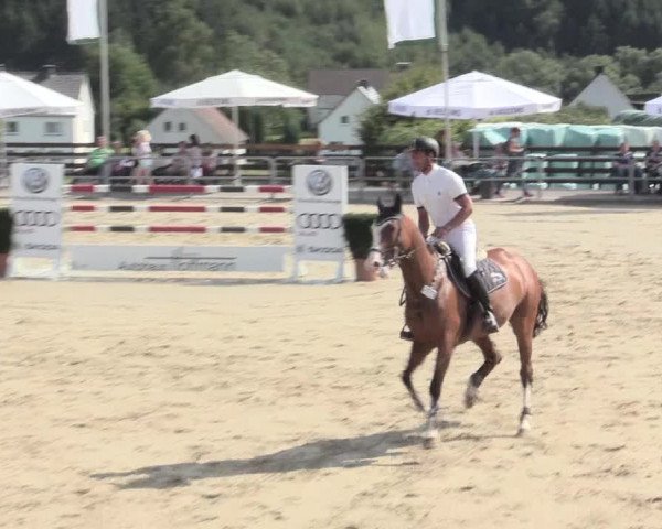 Voßwinkeler Reitertage 2016